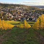 3 Neubauwohnung In Der Schwaebischen Toskana Apartamento Löwenstein
