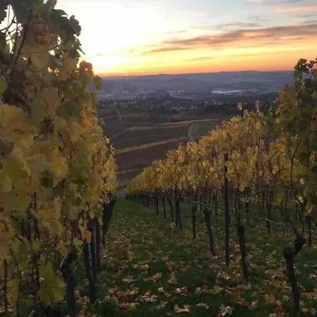 3 Neubauwohnung In Der Schwaebischen Toskana דירה *