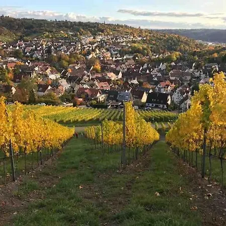 3 Neubauwohnung In Der Schwaebischen Toskana דירה Löwenstein