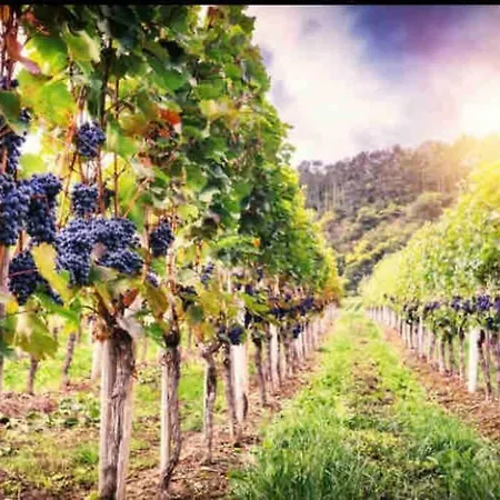 דירה 3 Neubauwohnung In Der Schwaebischen Toskana *