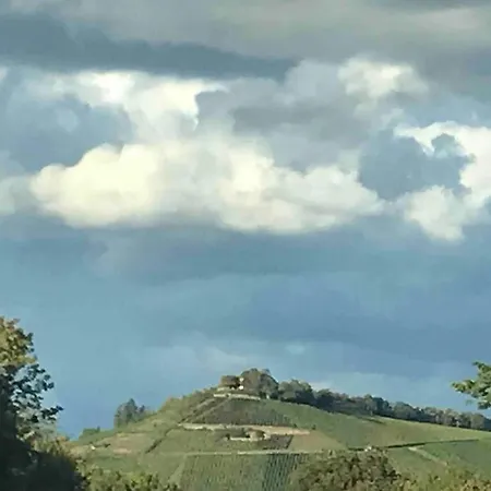 3 Neubauwohnung In Der Schwaebischen Toskana *