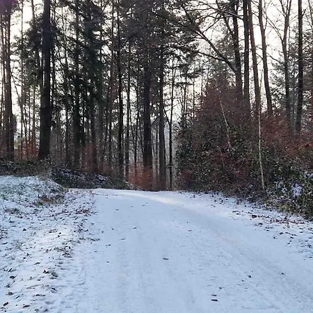 3 Neubauwohnung In Der Schwaebischen Toskana * Löwenstein