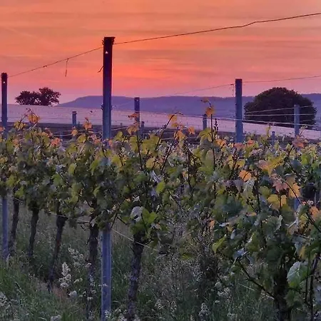 דירה 3 Neubauwohnung In Der Schwaebischen Toskana *